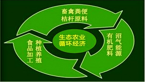 绿色环保，循环经济报告