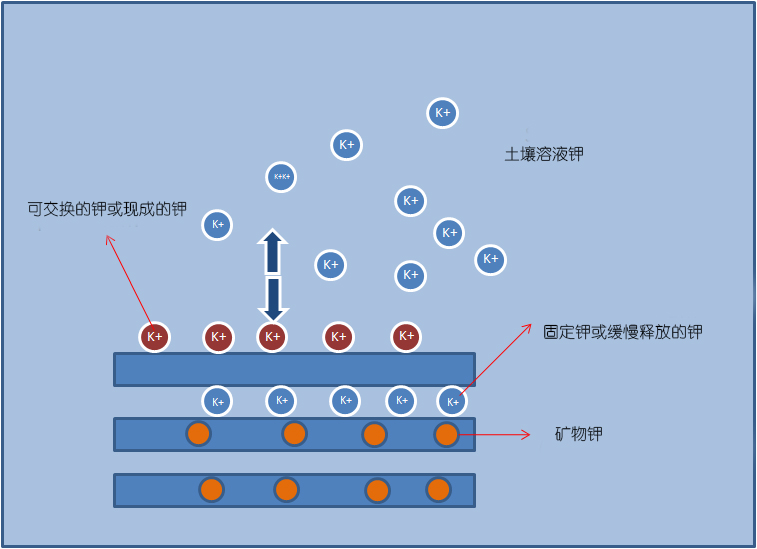 土壤中的钾