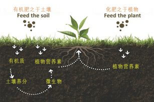 什么是有机肥，有机肥和化肥有什么区别，国家为什么鼓励有机肥？