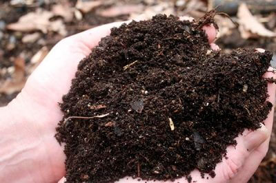 如何处理有机肥中的异味和杂质？