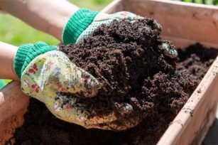 施用有机肥对土壤的长期影响！
