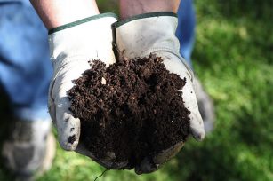 “不同类型的有机肥在施用上的区别——专家解析有机农业的奥秘”