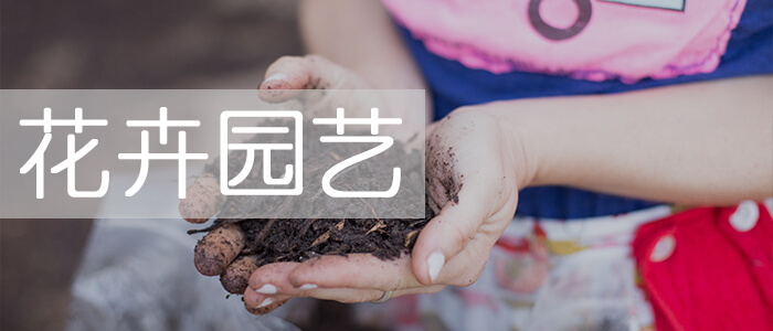 花卉园艺_绿康有机肥